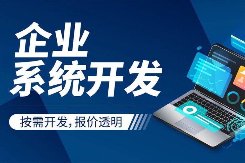 APP定制开发：满足现代企业多元需求的艺术